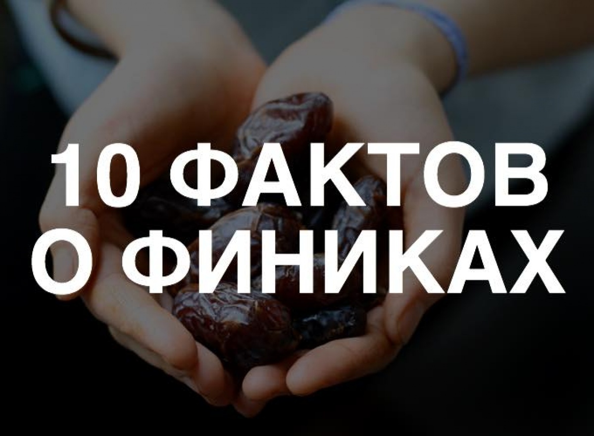 Финики - хлеб пустыни!